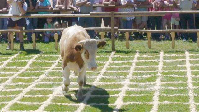 Zg.Okrog-Biba-Šavnice(Goli vrh)-Dom na Menini - foto