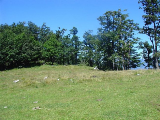 Zg.Okrog-Biba-Šavnice(Goli vrh)-Dom na Menini - foto