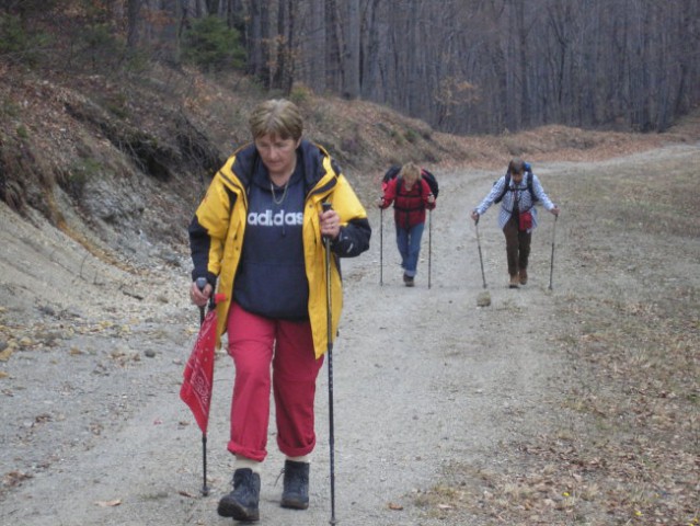 Zgornja Rečica-Mrzlica-Kal-Ostri vrh-Baba-13. - foto