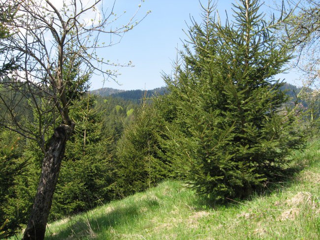 Remšnik-Sv.Pankracij-kmetija Unuk-27.4.08 - foto povečava