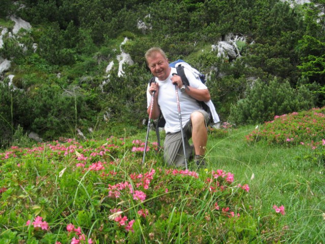 Reška planina-V.Zvoh-Koren-Kalški greben-5.7. - foto