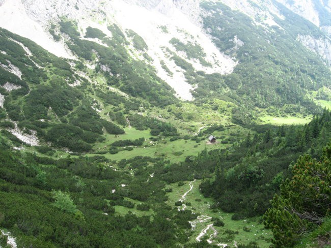 Reška planina-V.Zvoh-Koren-Kalški greben-5.7. - foto povečava