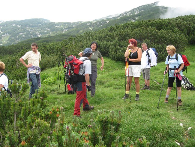 Reška planina-V.Zvoh-Koren-Kalški greben-5.7. - foto povečava