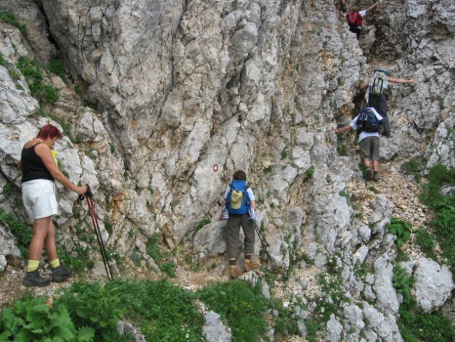 Reška planina-V.Zvoh-Koren-Kalški greben-5.7. - foto