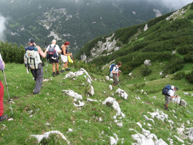 Reška planina-V.Zvoh-Koren-Kalški greben-5.7. - foto