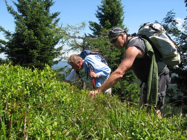 Dom na Smrekovcu-Vrh Smrekovca(1577m)-Krnes-K - foto povečava