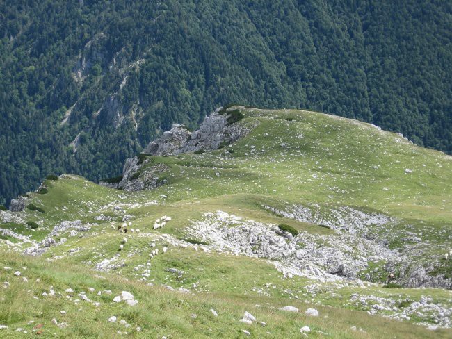 Valvasorjev dom-Prešernova koča-Stol(2236m)-9 - foto povečava