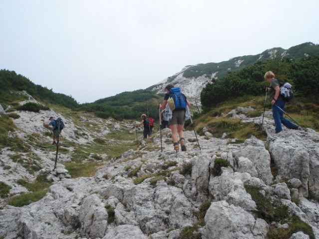 Pohod Podvežak-Lastovec-Korošica-Pl.Podvežak- - foto