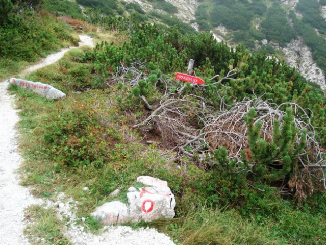 Pohod Podvežak-Lastovec-Korošica-Pl.Podvežak- - foto