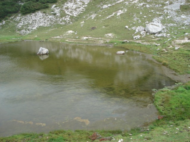 Pohod Podvežak-Lastovec-Korošica-Pl.Podvežak- - foto