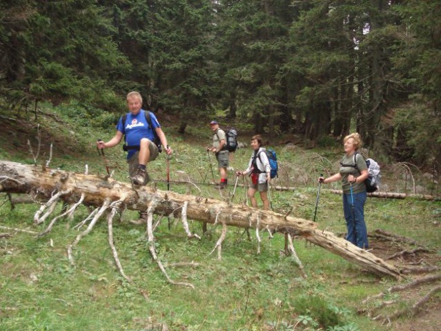 Pohod Podvežak-Lastovec-Korošica-Pl.Podvežak- - foto