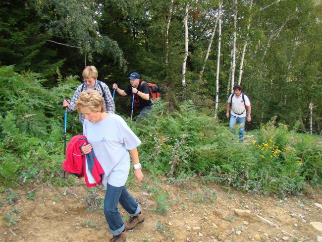 Pohod Plata-Celjska koča-Tovsti vrh-Grmada-Pl - foto povečava