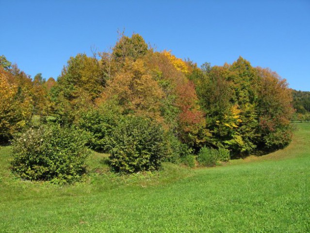 Pohod Sava-Tirno-Zasavska Sv.gora(849m)-Leše- - foto