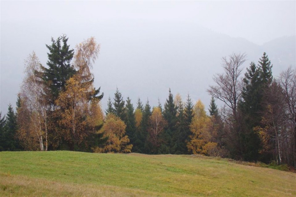 Matke-Mrzlica(1122m)-pod Goljavo-Matke-(26.10 - foto povečava