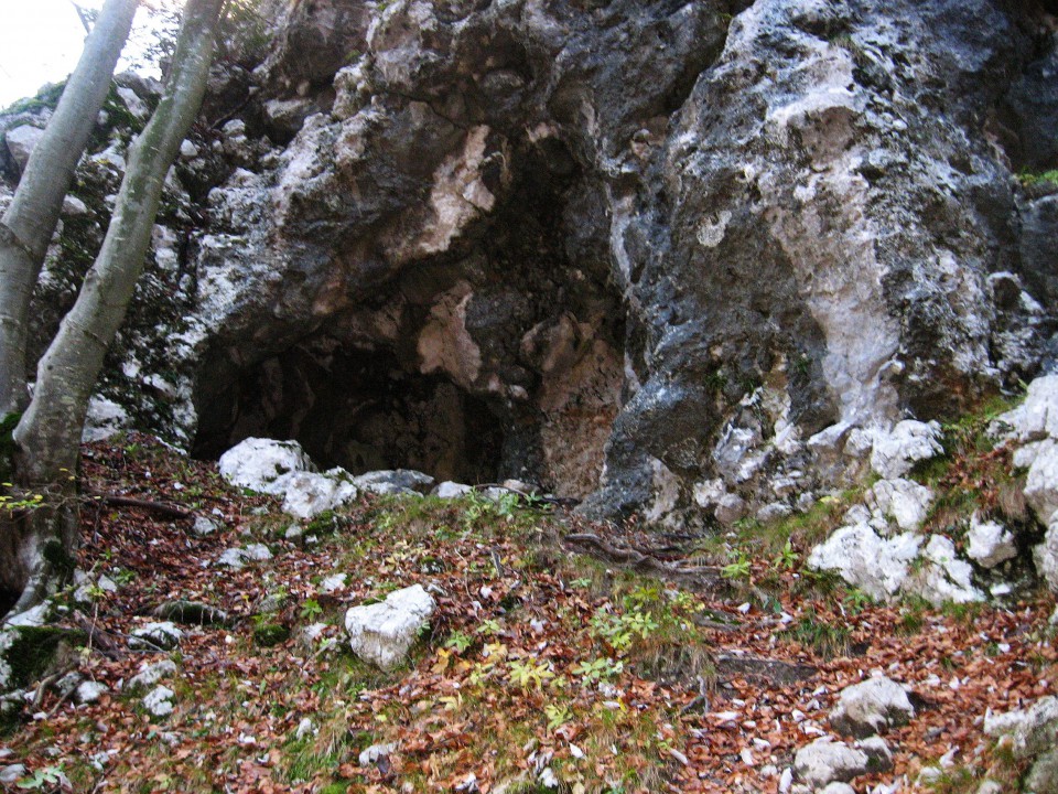 Pohod Planinski dom v Kam.Bistrici-Kamniško s - foto povečava