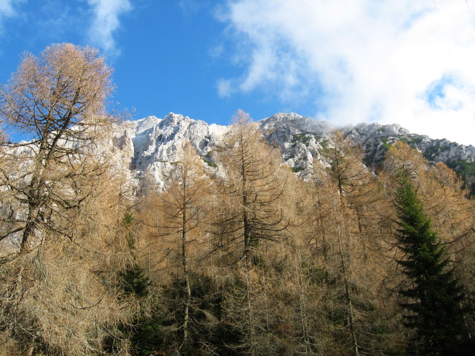 Pohod Planinski dom v Kam.Bistrici-Kamniško s - foto povečava