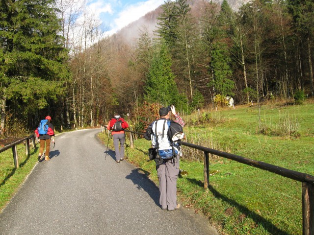 Pohod Planinski dom v Kam.Bistrici-Kamniško s - foto