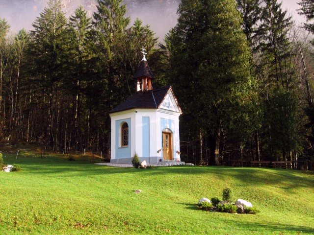 Pohod Planinski dom v Kam.Bistrici-Kamniško s - foto