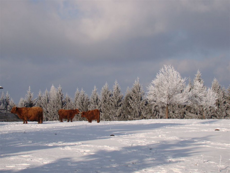 Laško-Tovsto-Doblatina-Svetina-3.1.2009 - foto povečava