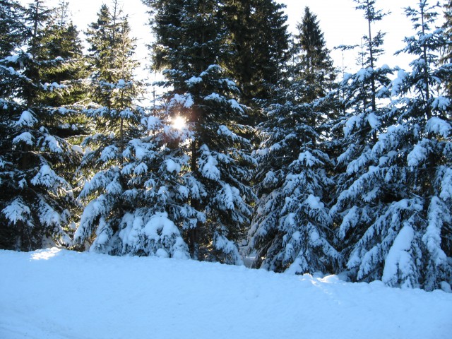 Pohod Rogla-Pesek-Osankarica-Kot (10.1.2009) - foto