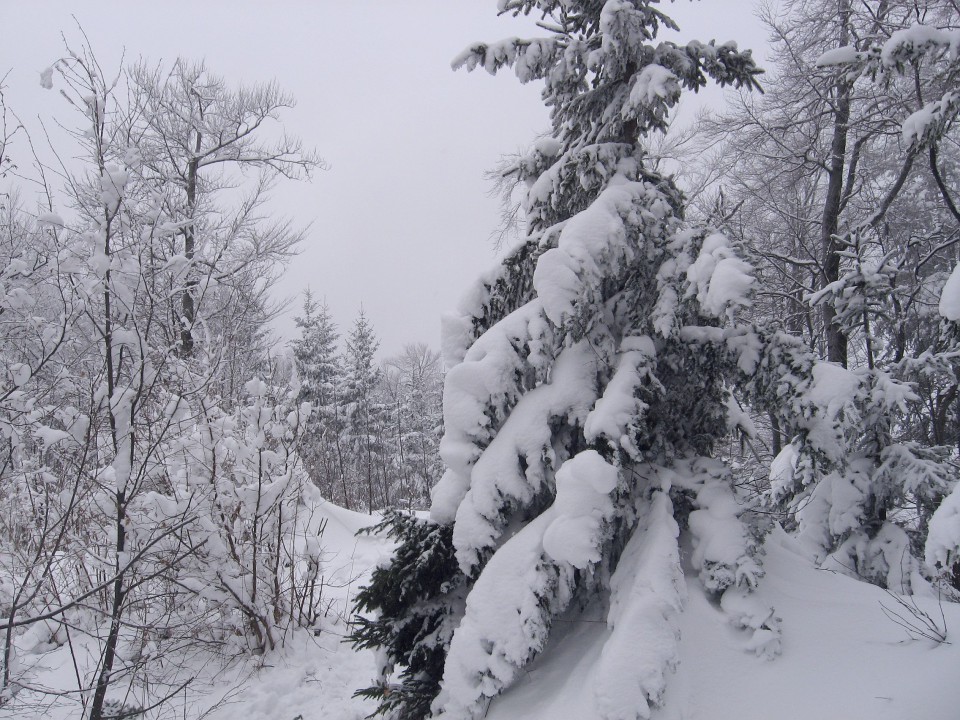 Vinska gora-Ramšakov vrh(970m)-Radojč-Tuševo- - foto povečava