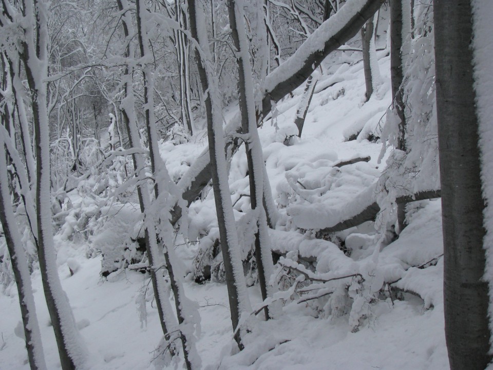 Poljčane-Boč-Pečica-Dolga gora-(31.1.2009) - foto povečava