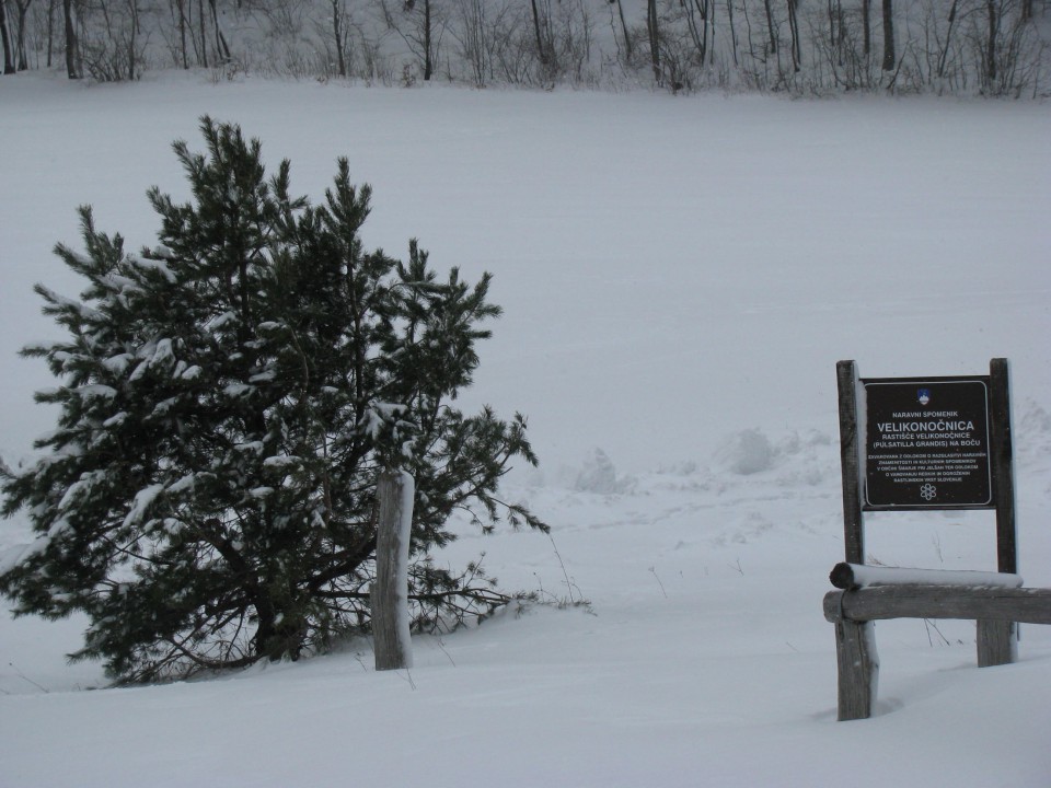 Poljčane-Boč-Pečica-Dolga gora-(31.1.2009) - foto povečava