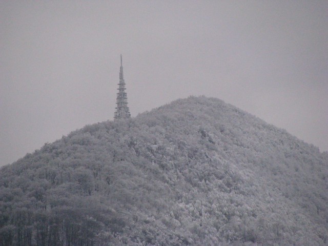 Poljčane-Boč-Pečica-Dolga gora-(31.1.2009) - foto