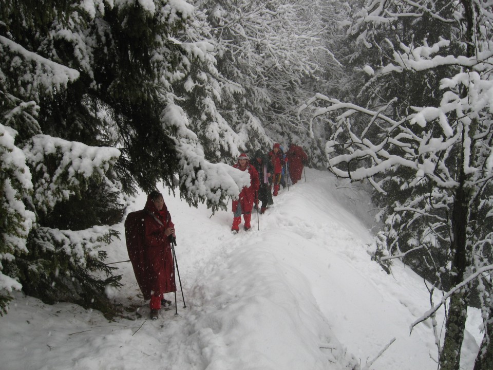5.zimski pohod Žekovec-Mozirska koča(Golte)-8 - foto povečava