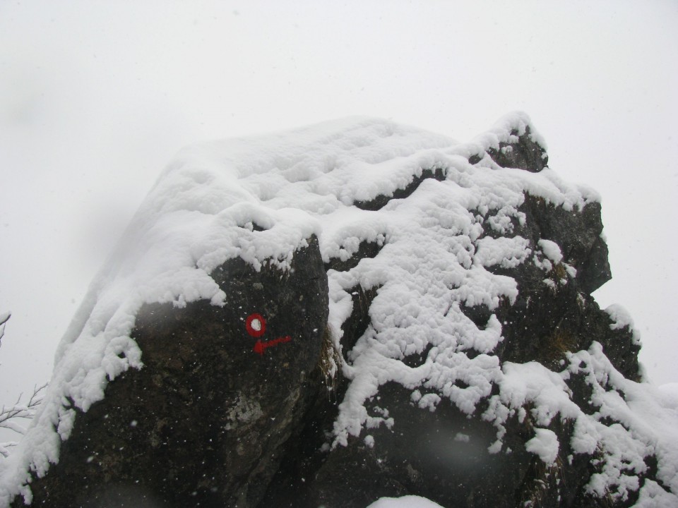 5.zimski pohod Žekovec-Mozirska koča(Golte)-8 - foto povečava