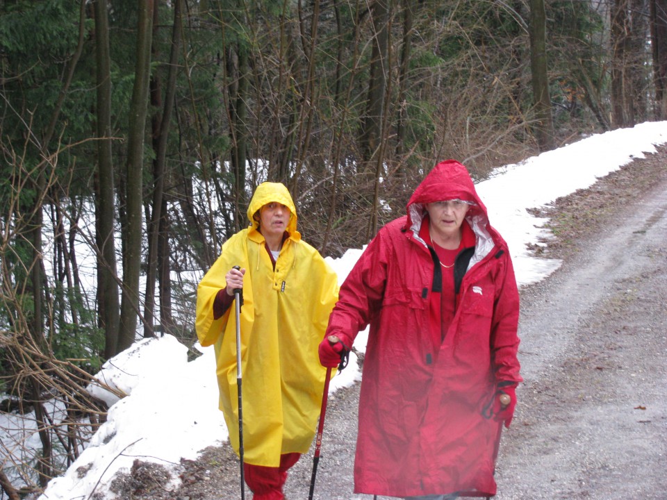 5.zimski pohod Žekovec-Mozirska koča(Golte)-8 - foto povečava
