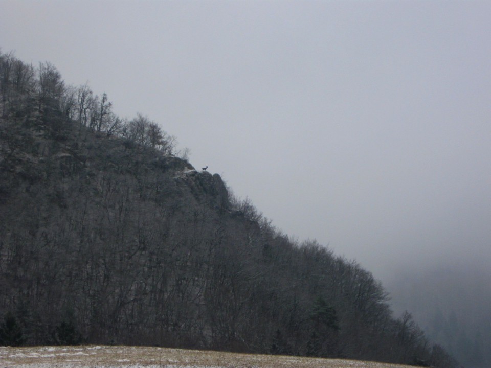 Hrastnik-Ravne-Kal-Blate-Hrastnik-22.2.09 - foto povečava