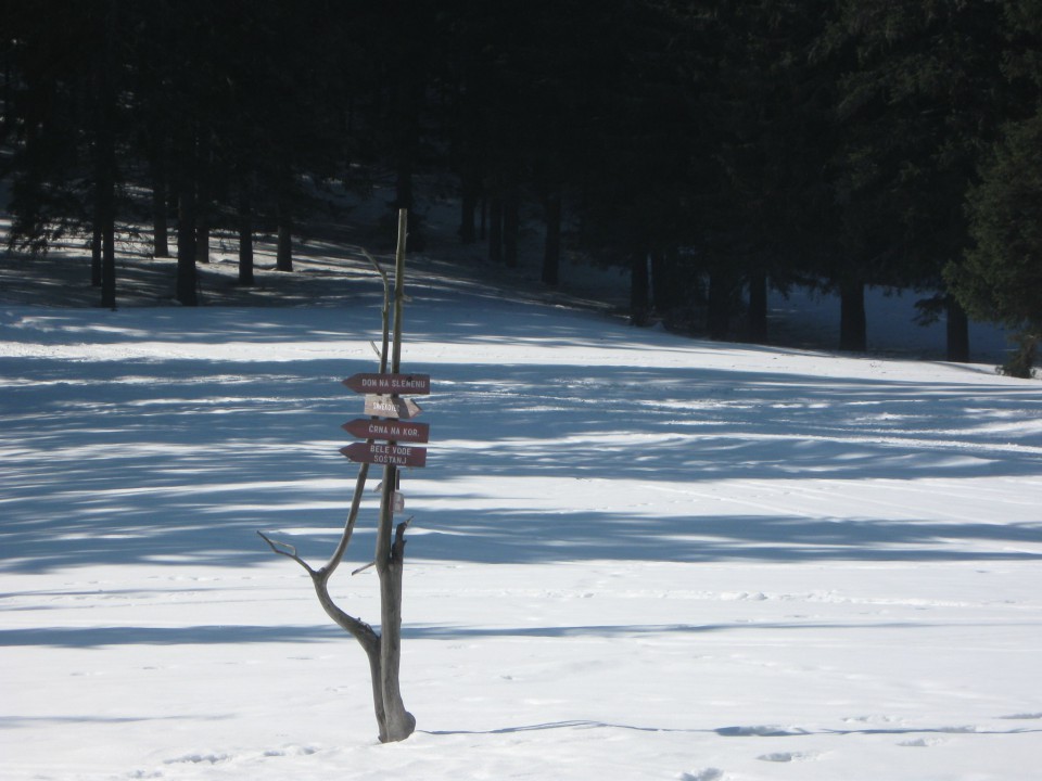 Rebršak-Brložnik-Koča na Smrekovcu-Smrekovec- - foto povečava