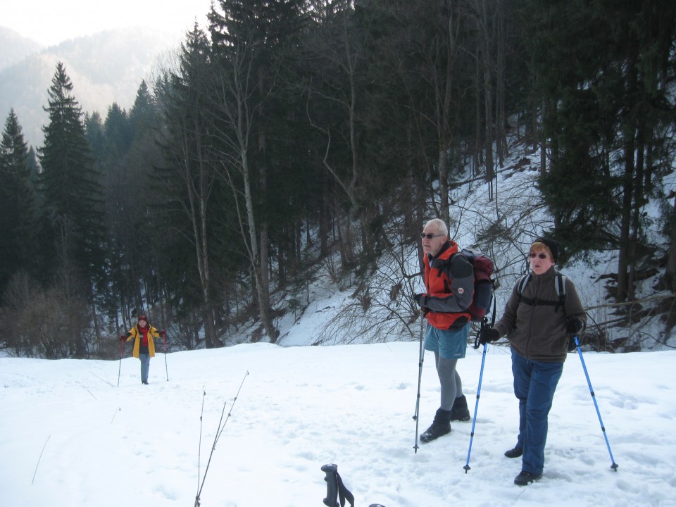 Rebršak-Brložnik-Koča na Smrekovcu-Smrekovec- - foto povečava