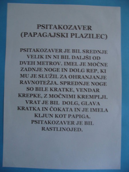 DINOZAVRI - foto