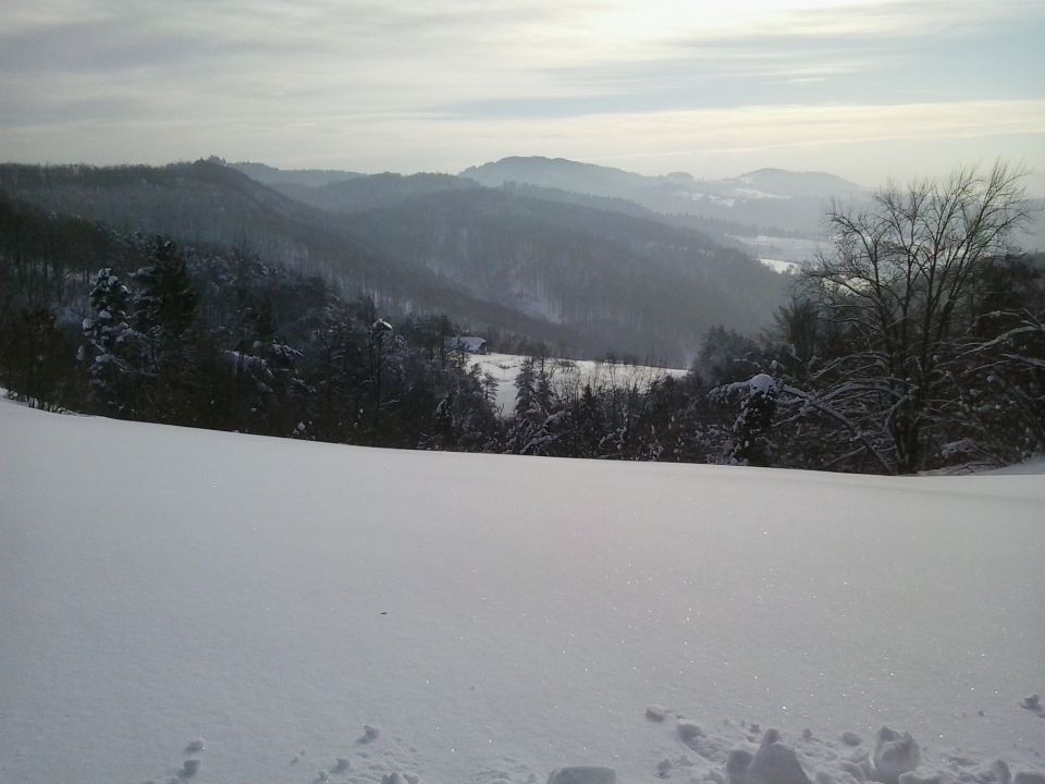 Sneg 2015 - foto povečava