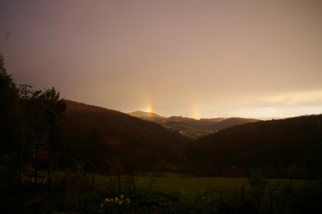 Doma - foto