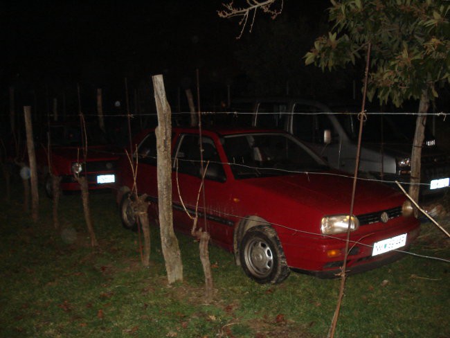 Rojstvo in fešta nove članice familije(Sara)- - foto povečava