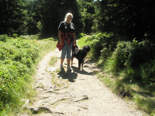 AISHA-POHORJE 2008 - foto povečava