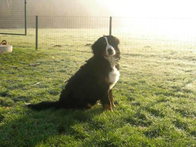 JESEN 2009 - foto