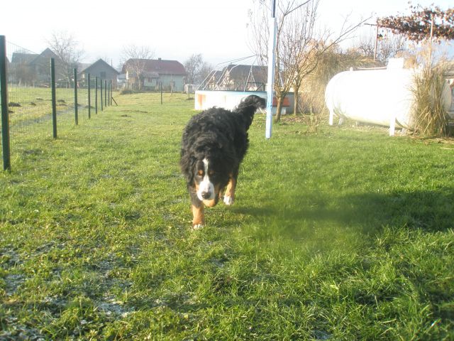 JESEN 2009 - foto