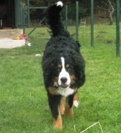 JESEN 2009 - foto