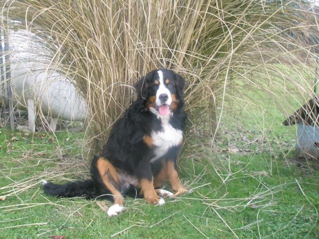JESEN 2009 - foto