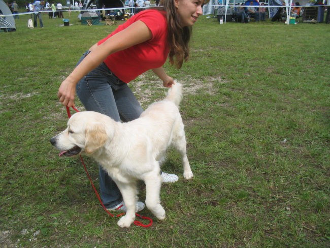 CAC Koroske 2007 - foto povečava