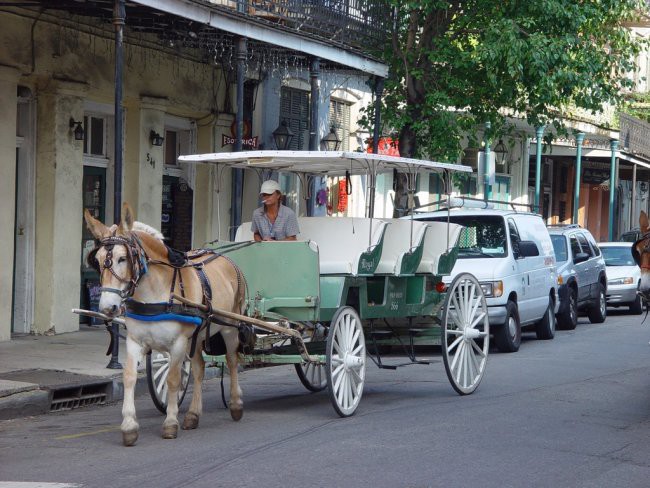New Orleans 2003 - foto povečava