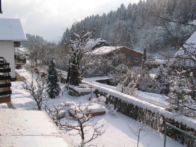 Zima 2007 - foto