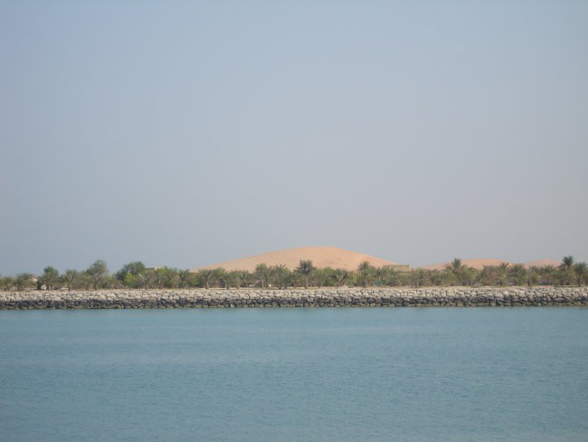 Sea, palms and desert in the back