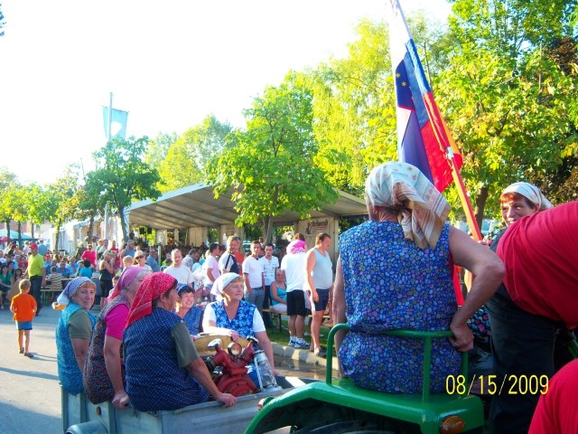 TEKMOVANJE ŠOŠTANJ 2009 - foto