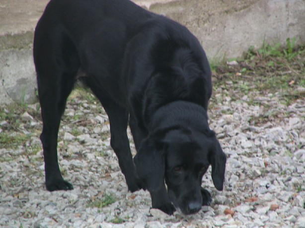 November 2005-Merp,Zanigrad - foto