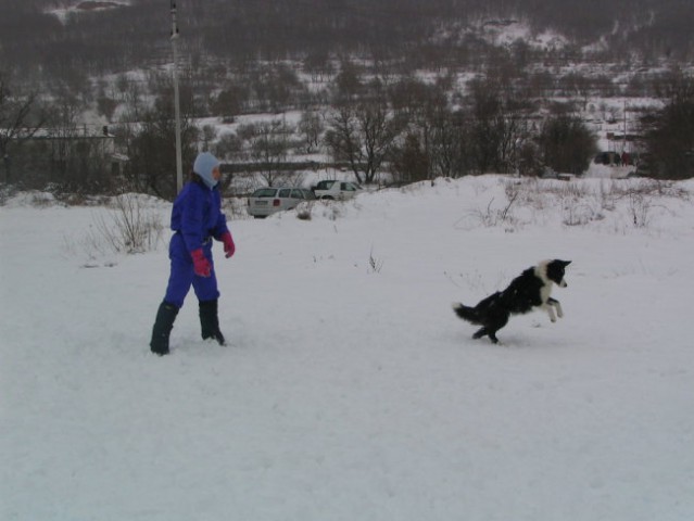 Sneg,Podgorje,31.12.2005 - foto
